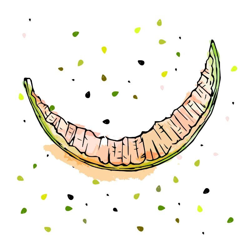 Melon manger à ras bord
