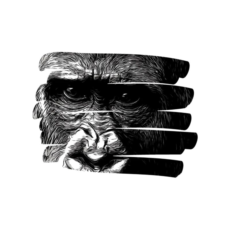 Monkey motif, monkey