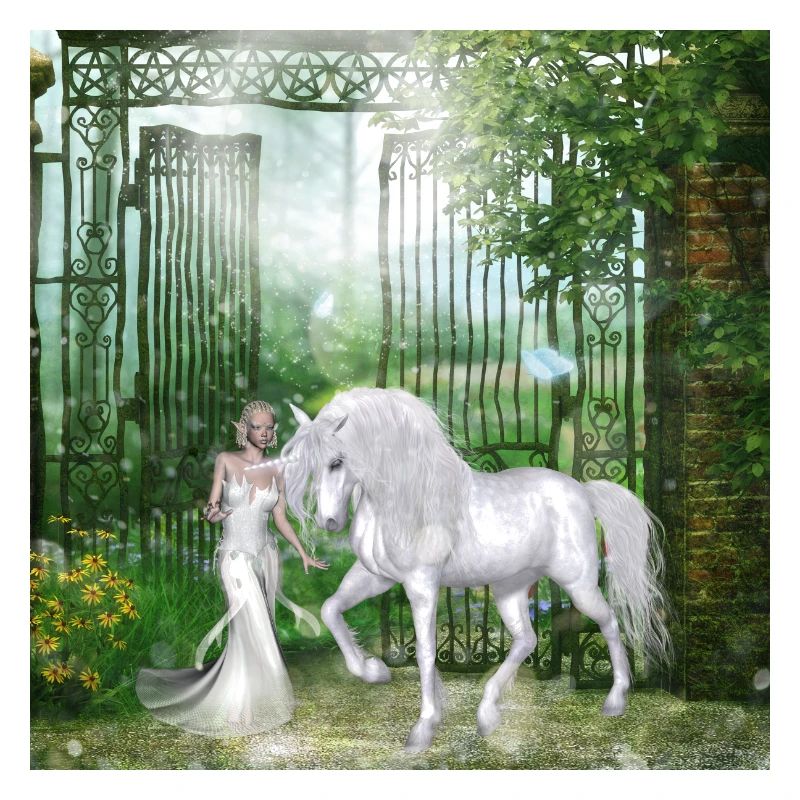 Merveilleuse fée avec licorne