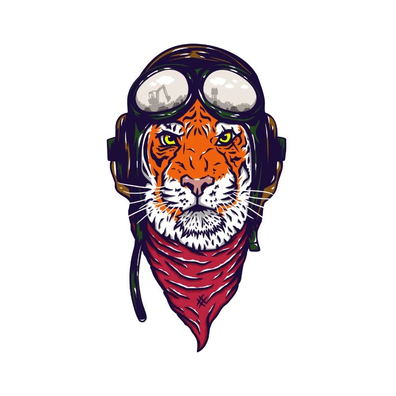 Tigre qui regarde