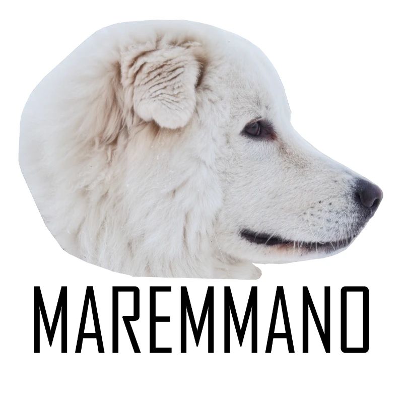 MAREMMANO ABRUZZESE