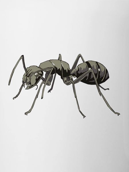 Aggro ant