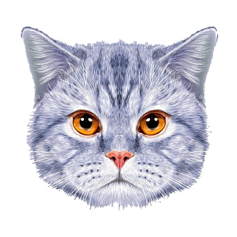 Tête de chat Visage de chat Bleu