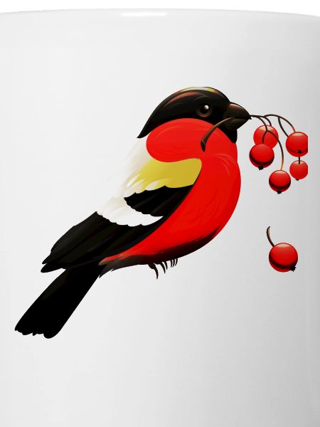 oiseau