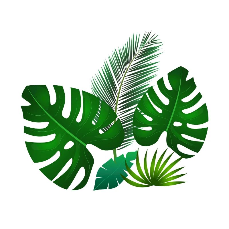 Feuilles tropicales vertes