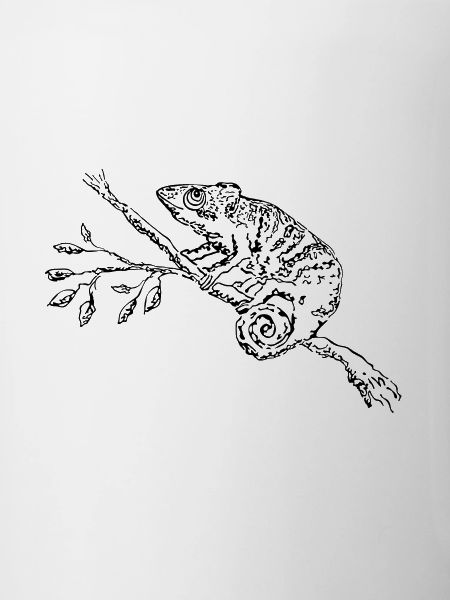 Chamäleon. Chamaeleon.