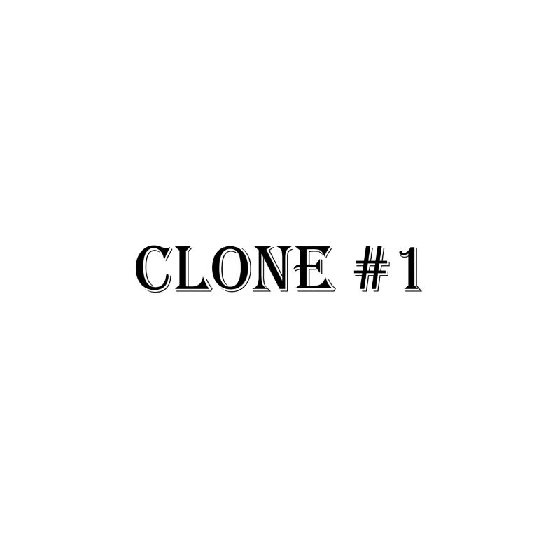 Clone #1