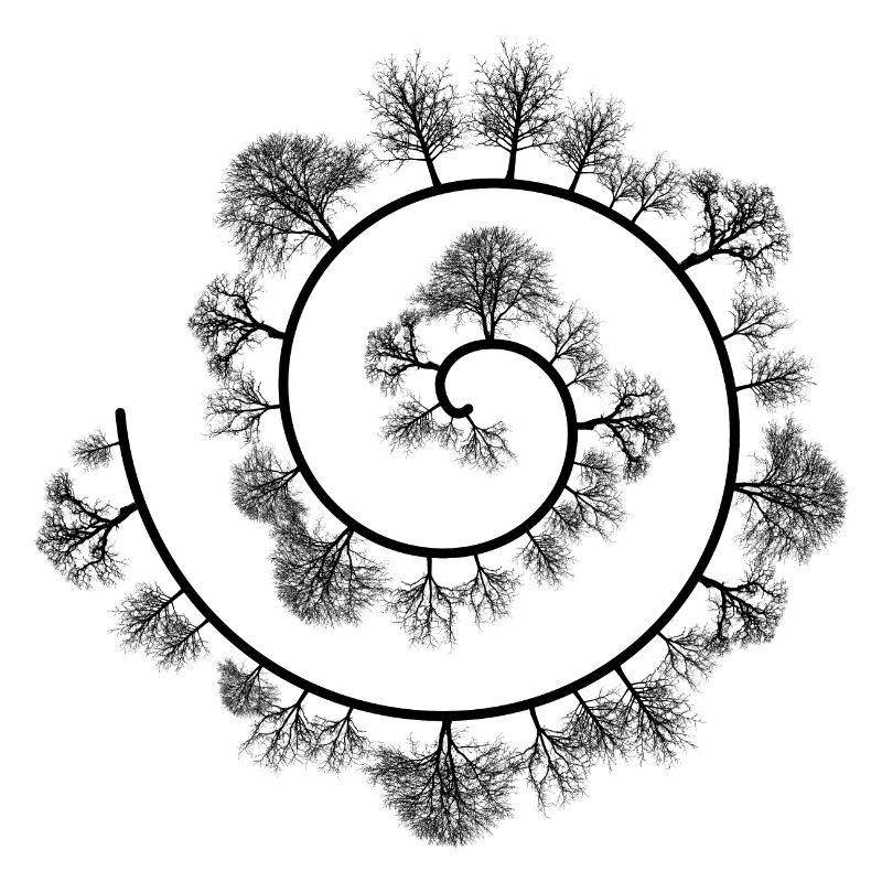 Wald Spirale