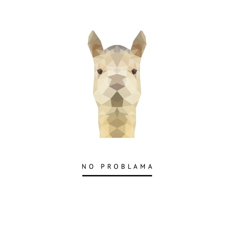 No Problama