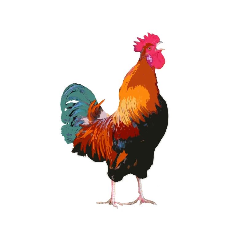 Coq