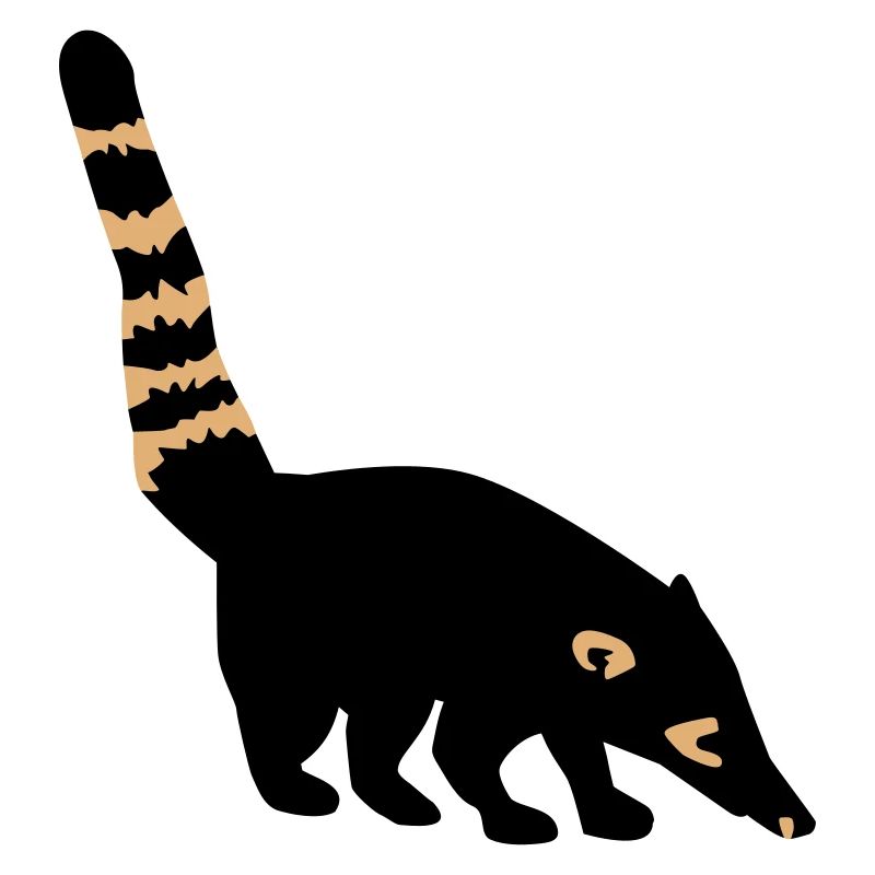 Coati