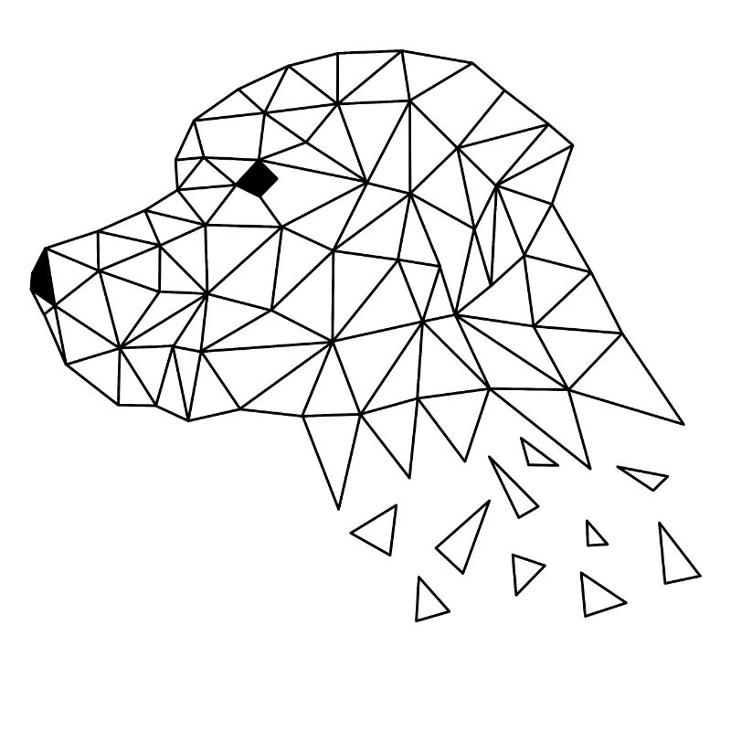 Labrador (dog)
