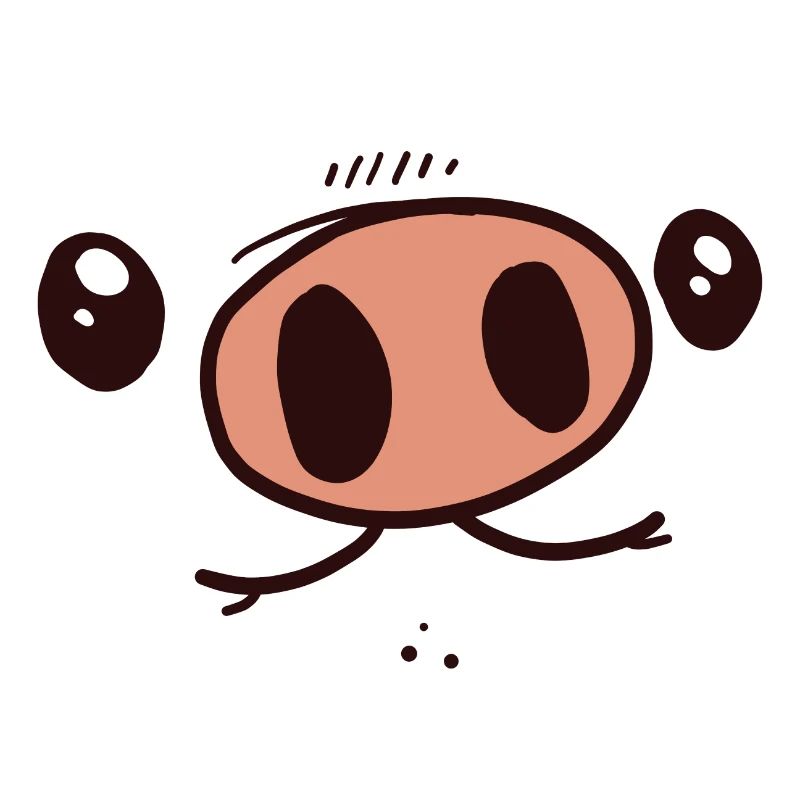 Pig costume