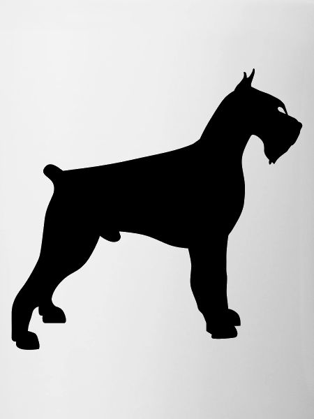 schnauzer géant