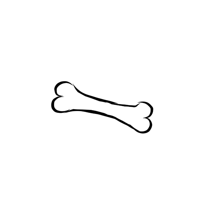 Knochen bone