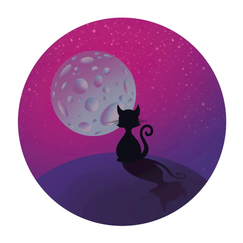 Cat and the moon