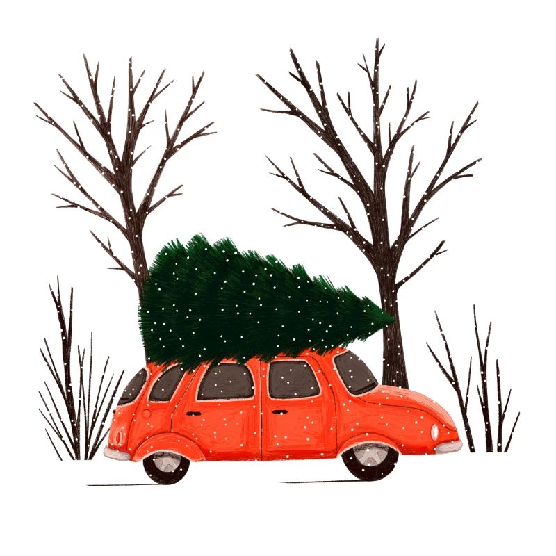 Driving Home For Christmas