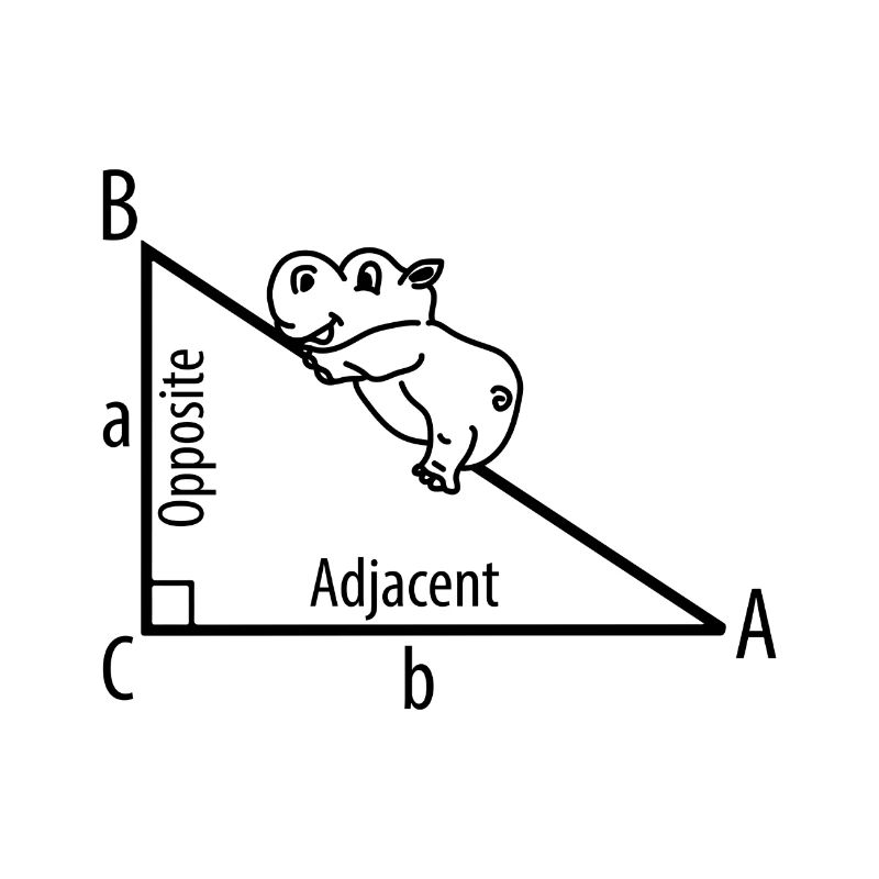 Pythagoras Hippopotamus Nilpferd