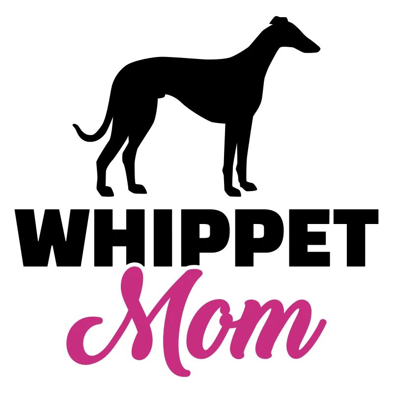 Whippet