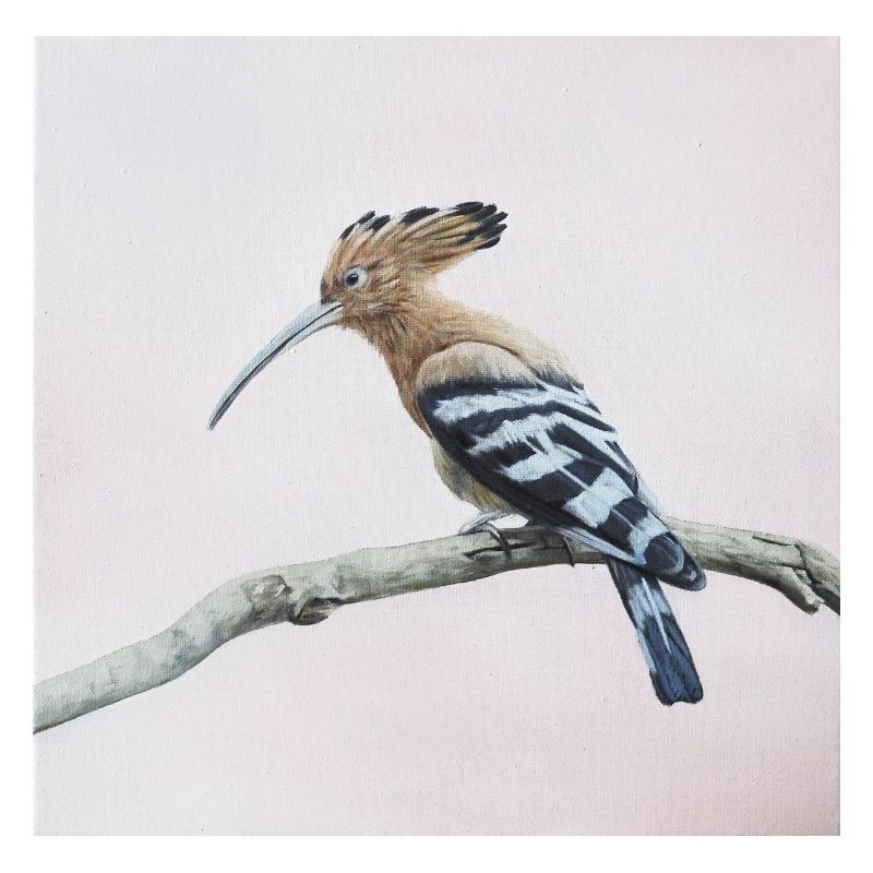 oiseau