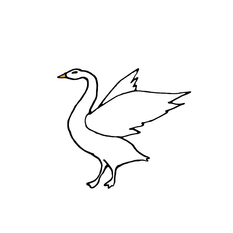 Goose, wings, comic, gift idea