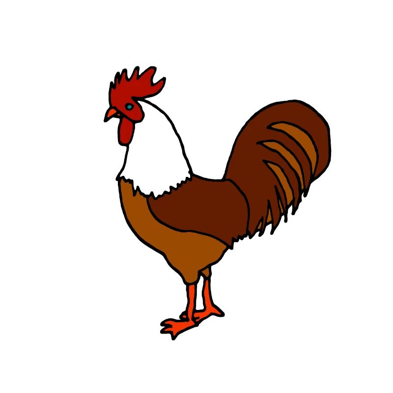 Caricature de coq