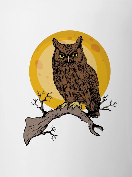 owl