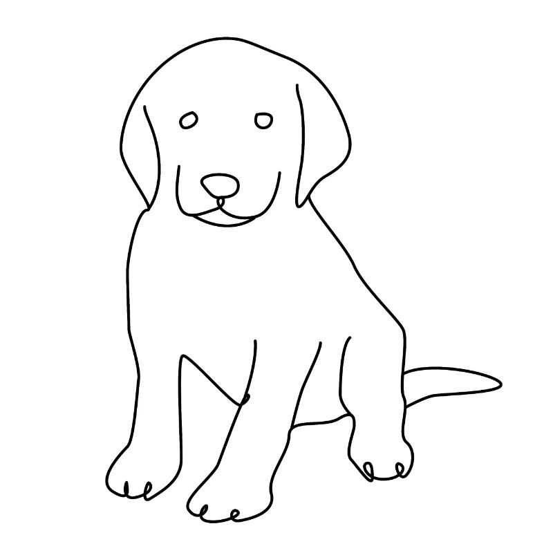 Labrador