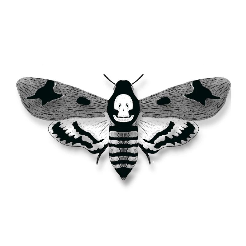 Moth