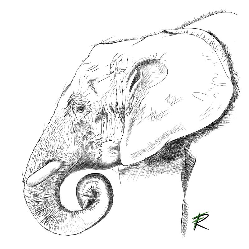 éléphant