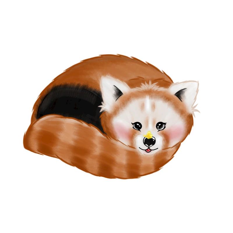Bébé panda rouge