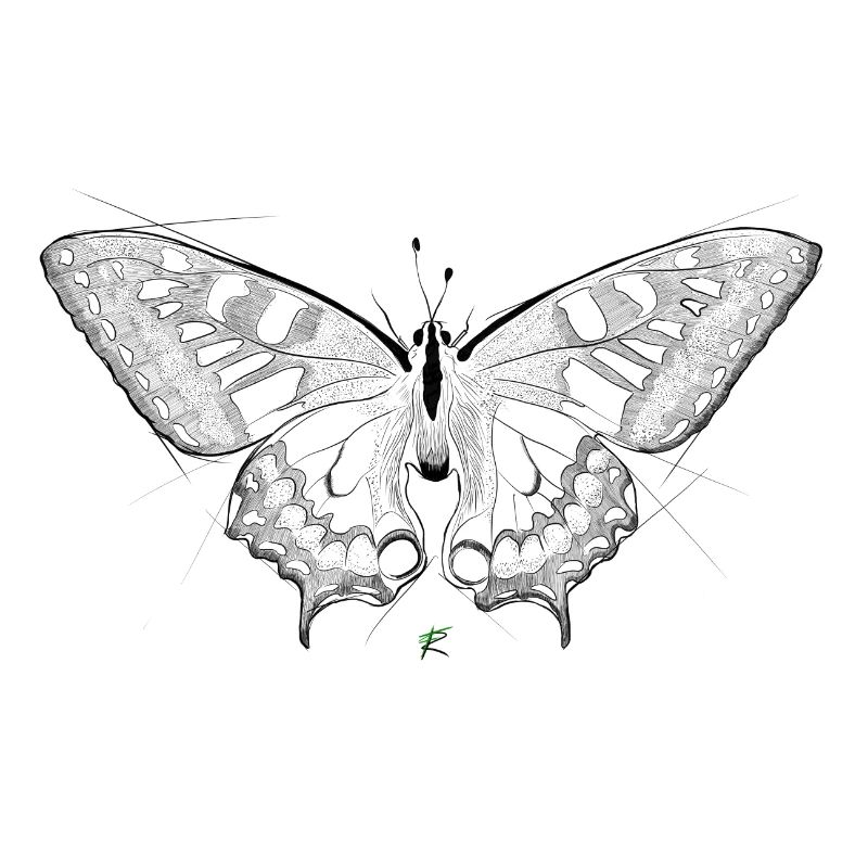 papillon