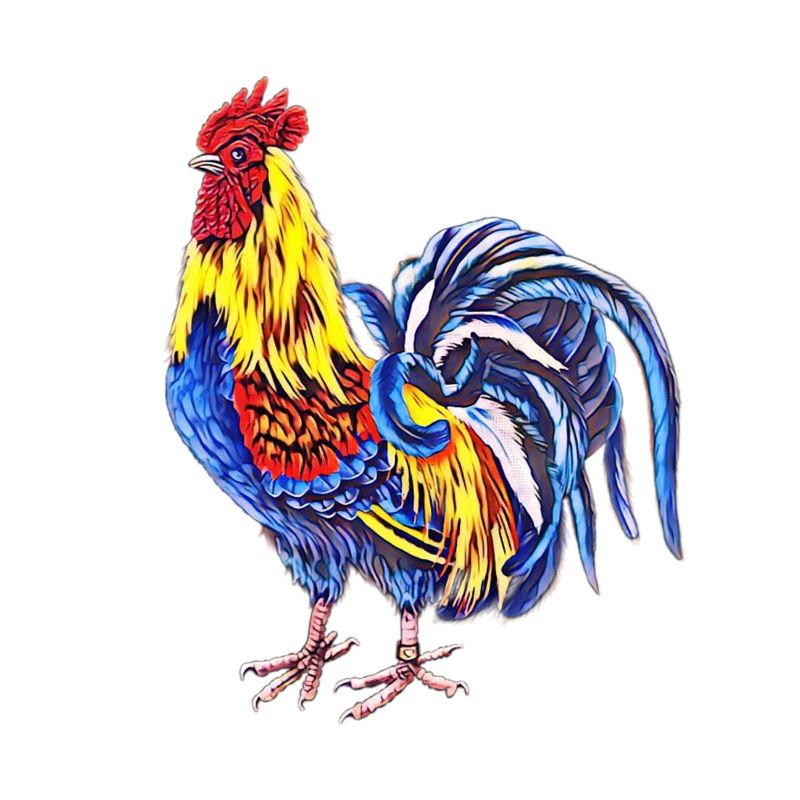 Rooster