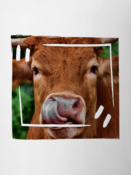 Beef