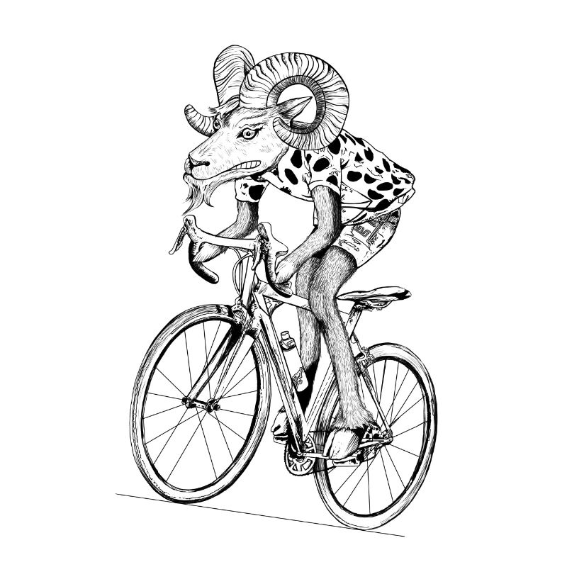 mouflon avec vélo