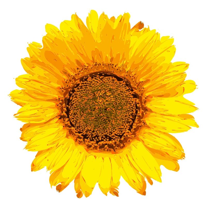 Tournesol