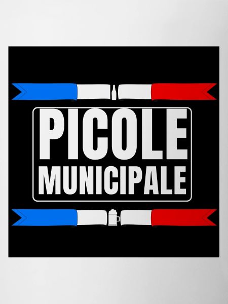 Picole Municipale
