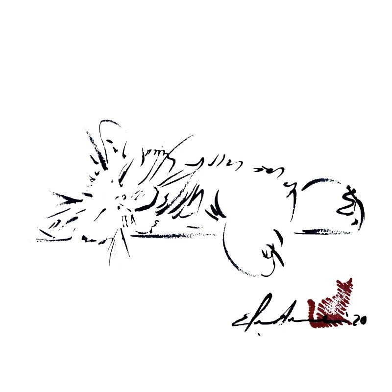 CHAT DORMANT