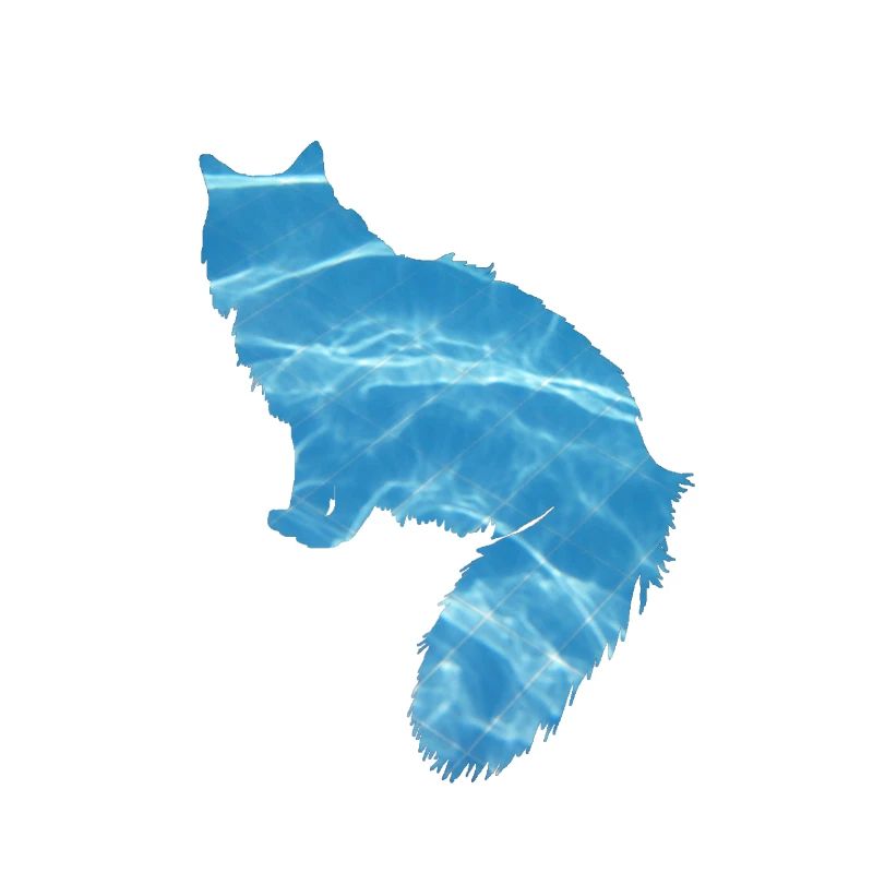 Cat water