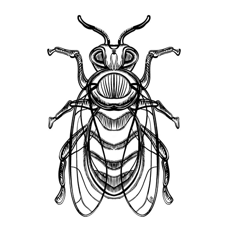 Bee pattern / Beekeeping / beekeeper / honey