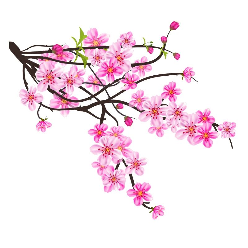Fleur de Sakura