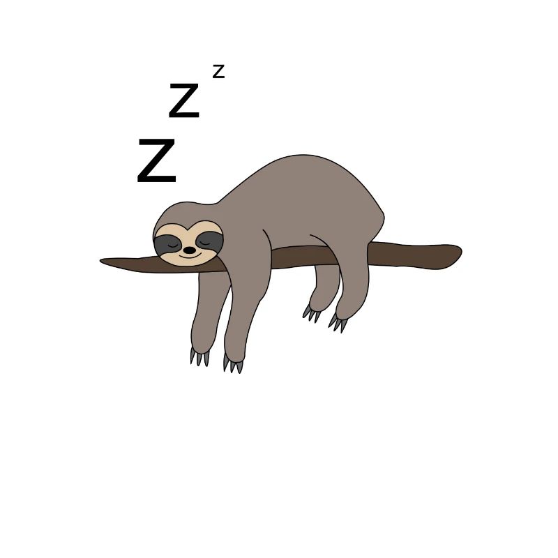 Sloth sleeping