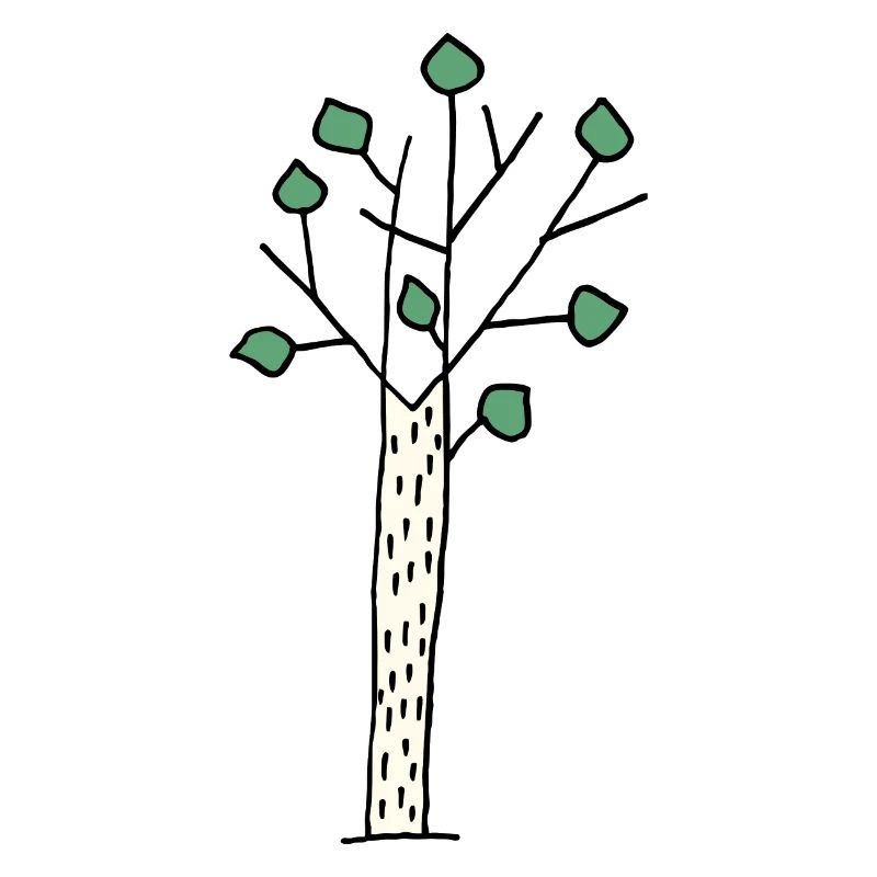 Bouleau BirchTree naturel