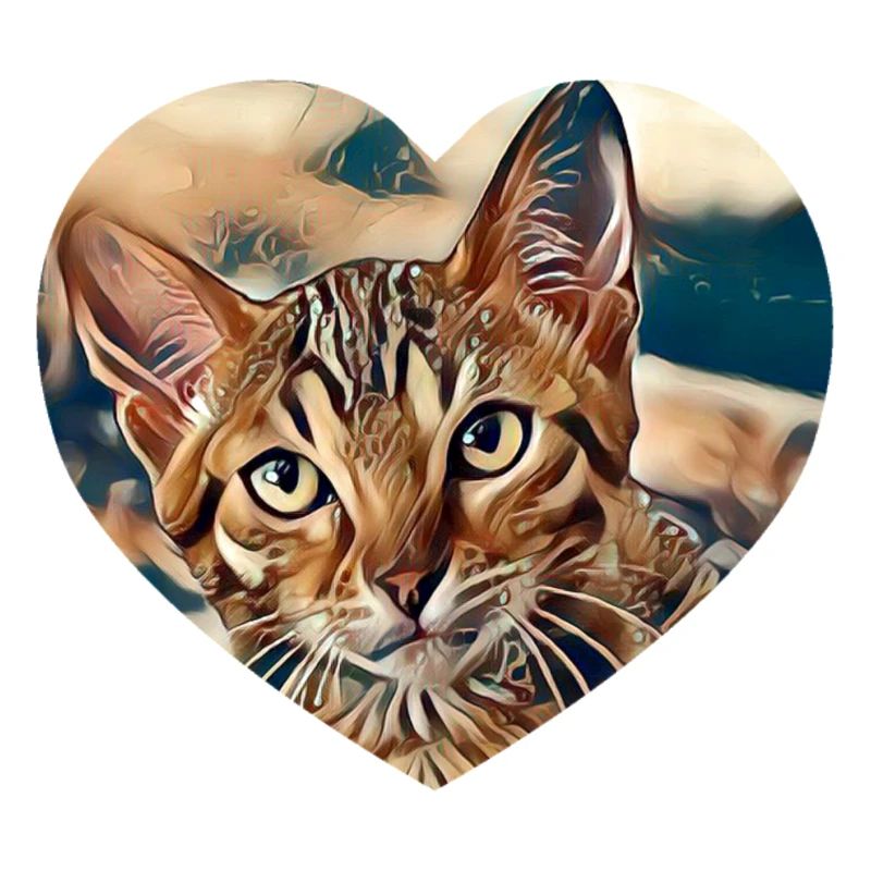 Chat