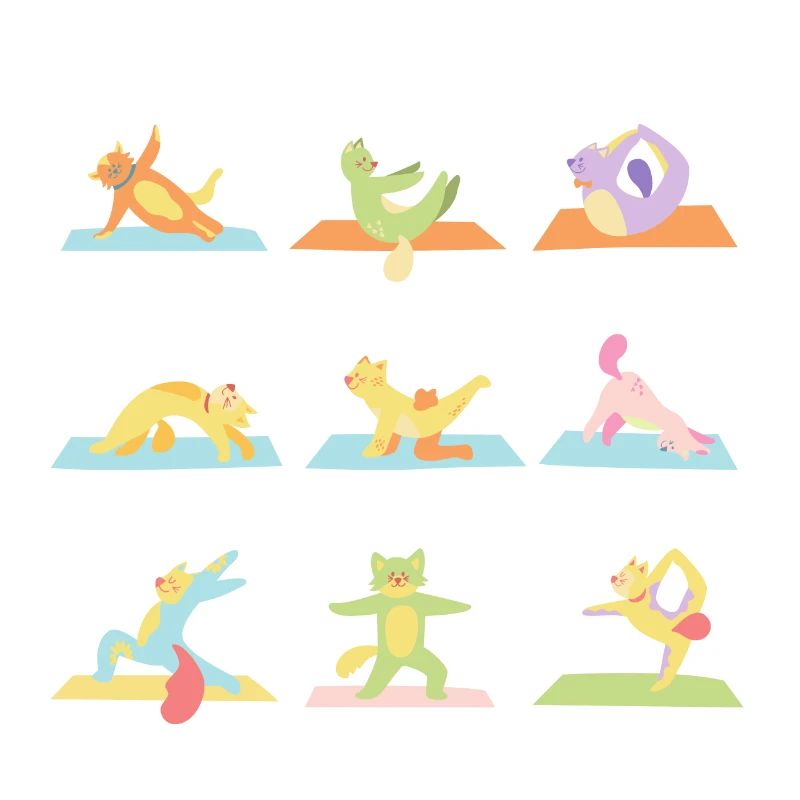le yoga du chat