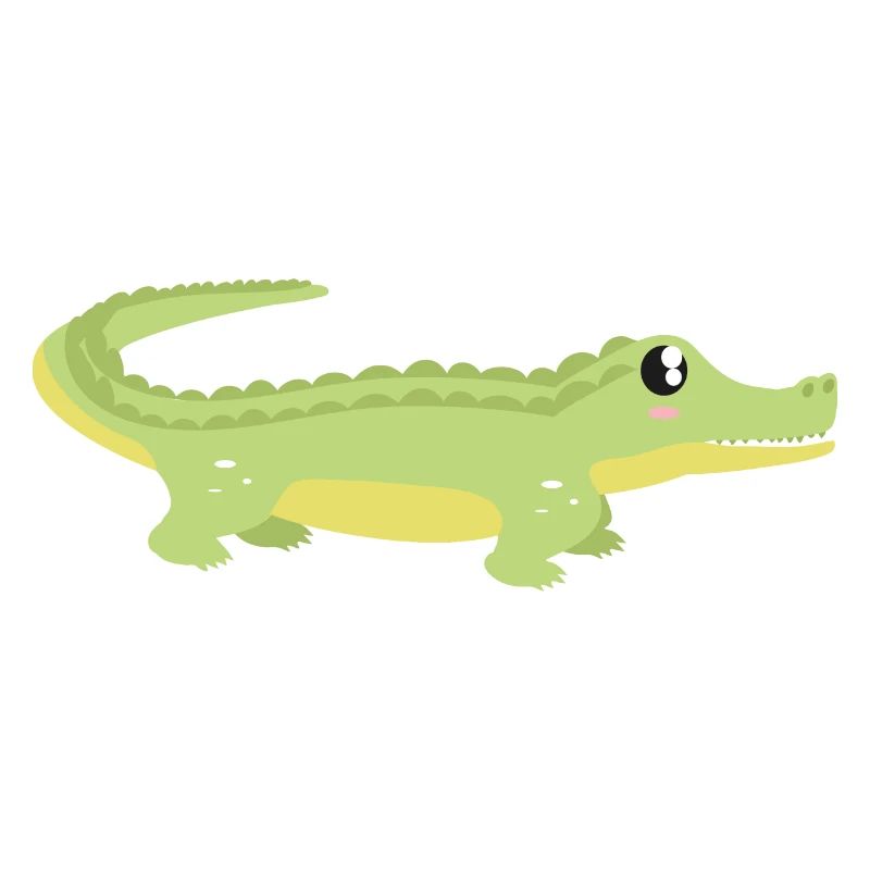 Crocodile
