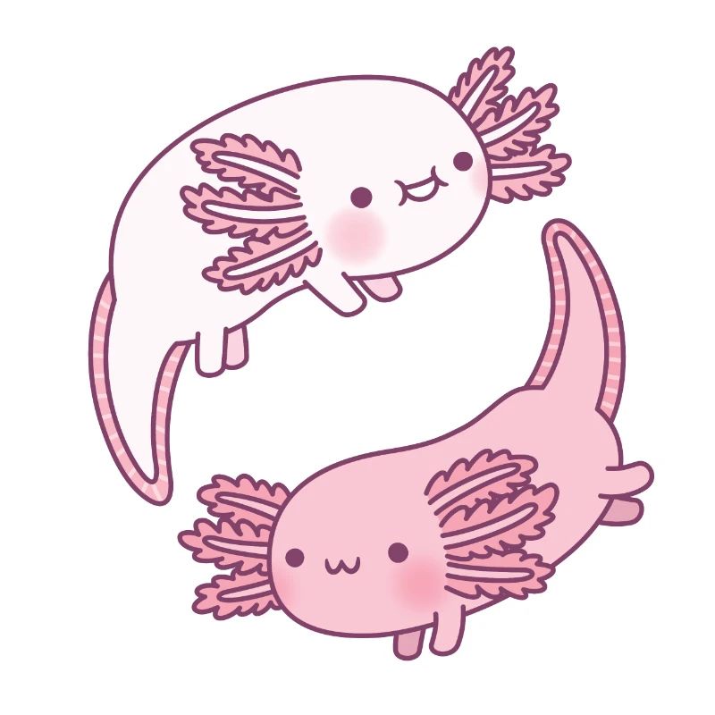Süße Axolotls Yin Yang