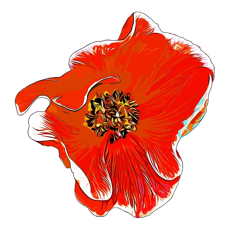 Flowers Rose orange