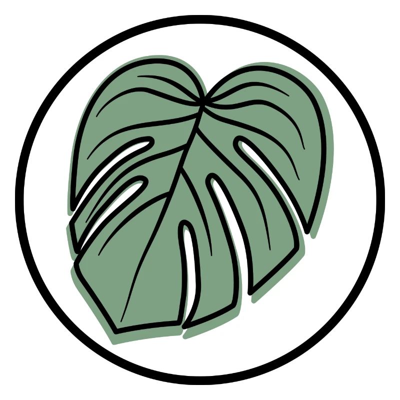 Monstera Patch