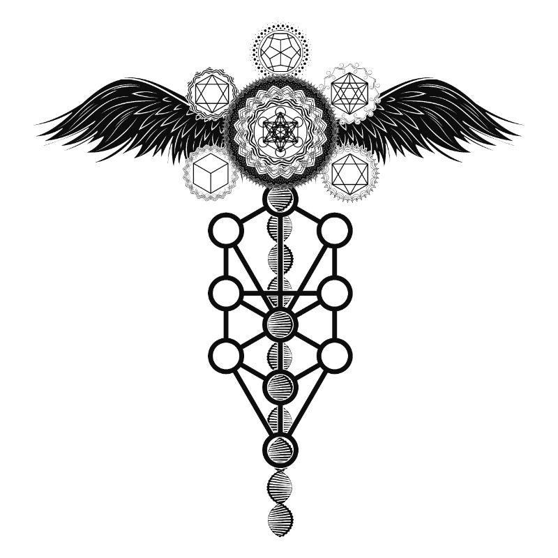Winged Metatron Dna Platonic Solids